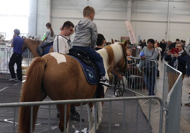 ZooPark ponownie przyciągnął do Targów Lublin tłumy miłośników zwierząt