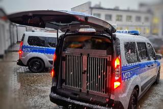 Ford Transit Connect dla policjantów w Łomży