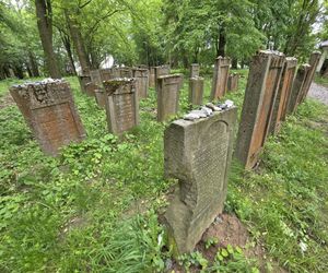 Cmentarz żydowski w Leżajsku