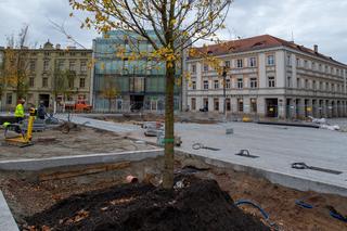 Plac Wolności coraz bardziej zielony
