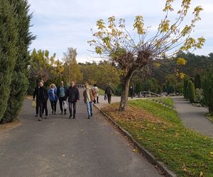 Cmentarz Komunalny przy ul. Wrocławskiej w Zielonej Górze będzie powiększony