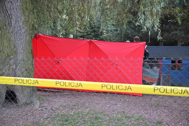 Makabryczne tragedie w Małopolsce. 4-latek wpadł do studni, 12-latek roztrzaskał się o drzewo