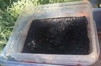 Kolejny cios w narkobiznes. Policja zlikwidowała tajne laboratorium pod Bydgoszczą!