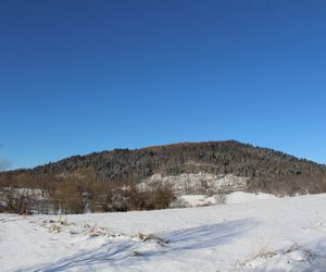 Piękna zima w Bieszczadach [ZDJĘCIA]