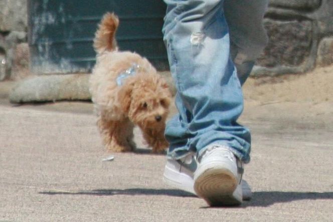 Jacek Kopczyński. Tak wypoczywa po awanturze w Sejmie 