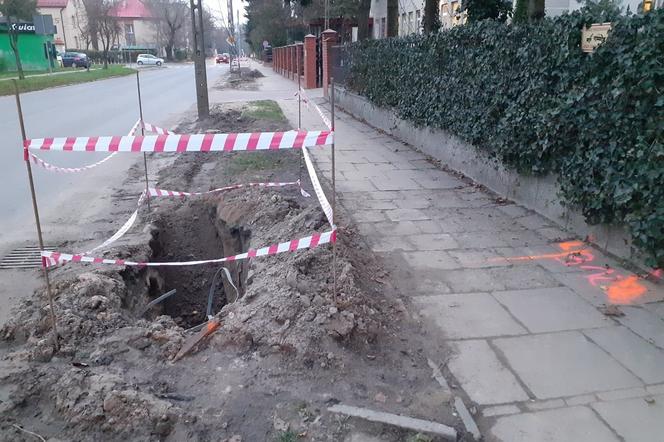 Większość drzew po jednej stronie ulicy Poniatowskiego została już usunięta całkowicie, razem z korzeniami