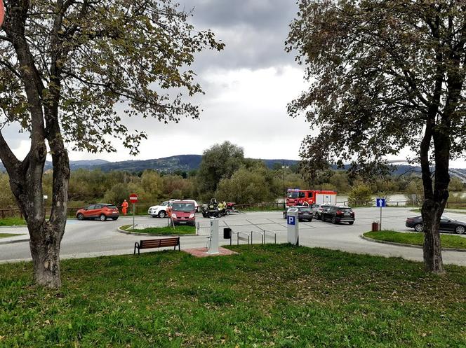 Zaginęła 68-latka. Rodzina i policja proszą o pomoc. Każdy sygnał jest ważny