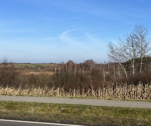 Myśliwy zastrzelił myśliwego. Dusza człowiek. Horror pod Milejowem