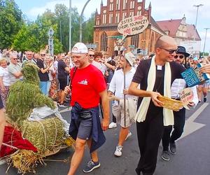 Parada załóg The Tall Ships Races 2024 w Szczecinie