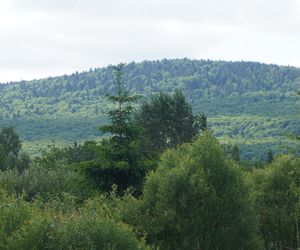 Puszcza Jodłowa i Góry Świętokrzyskie