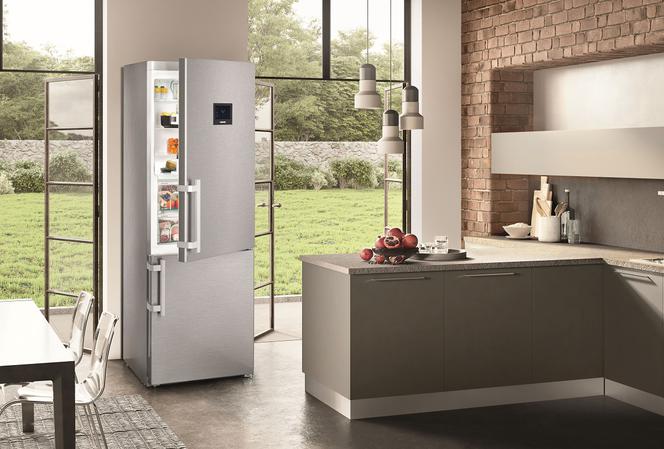 Jaką kupić lodówkę: dopasuj model lodówki do swoich potrzeb