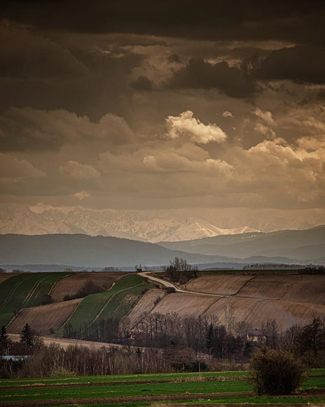 Ponidzie w obiektywie. Zobacz piękne fotografie!