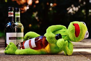 Impreza była tak gruba, że nawet w powietrzu był alkohol. Tak się bawią studenci w USA