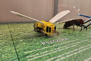 Największa w Europie wystawa klocków Lego