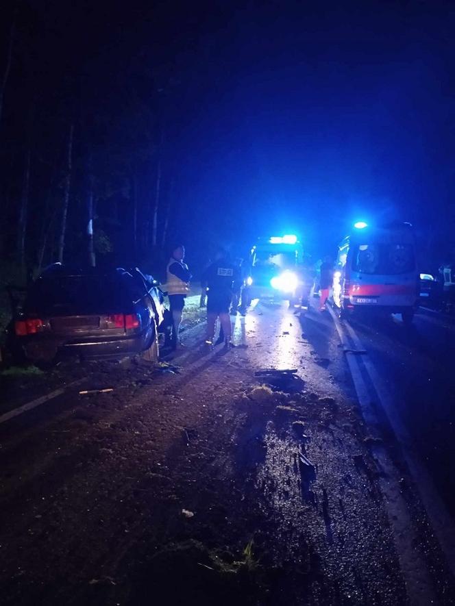 Wypadek na DK 79 między Luszycą i Strużkami