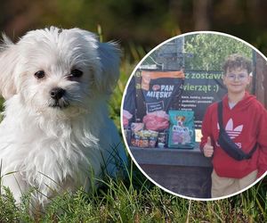 Zamiast kwiatów na komunię poprosił o karmę dla psów. Igor z kujawsko-pomorskiego został bohaterem internautów