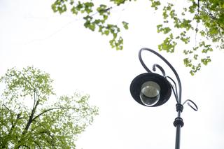 Latarnie w Parku Skaryszewskim