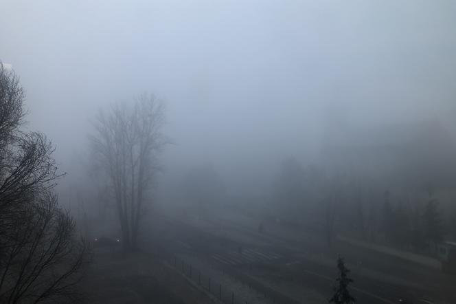 Gęsta mgła w stolicy