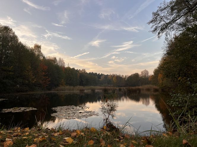 Idealne miejsce na jesienny spacer w Śląskiem - Kamień 