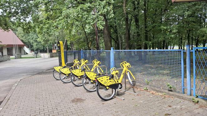 Wandale zniszczyli metrorowery w Zabrzu