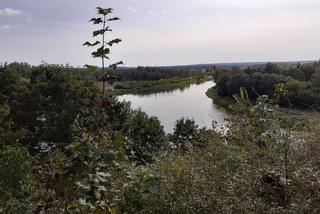 Wycieczka krajoznawcza Muzeum Regionalnego w Siedlcach śladem upamiętnień wojny polsko-bolszewickiej z 1920 roku