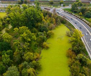 Port Praski - widok z drona, wrzesień 2024