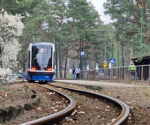 Tak po modernizacji będzie wyglądała pętla tramwajowa w Lesie Gdańskim! 
