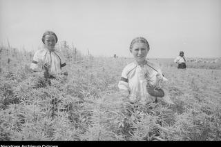 Tak mieszkało się na polskiej wsi prawie 100 lat temu. Zobaczcie te niezwykłe zdjęcia!