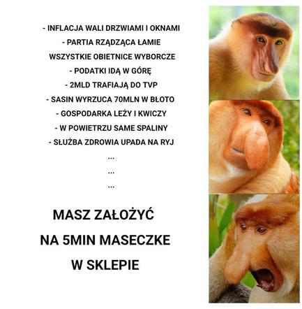 Polacy nie wierzą w koronawirusa. Zobacz memy 