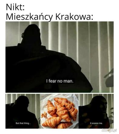 Krakowski lagun to prawdziwy FENOMEN! [MEMY]