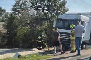  Kierowcę ciężarówki użądliła pszczoła, uderzył w przepust.