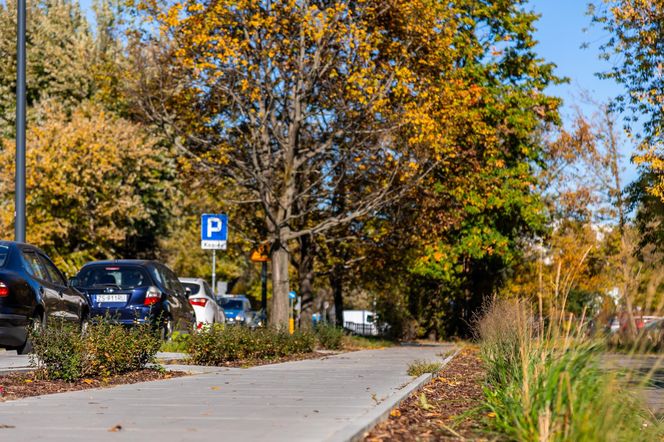 Park linearny na Bielanach w Warszawie