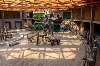 Majówka w Orientarium ZOO Łódź. Egzotyczna przygoda dla całej rodziny