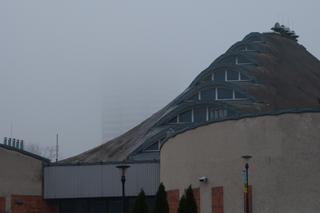 Hala Kapelusz w Parku Śląskim powstała w innowacyjnej technologii. Zobacz zdjęcia wyjątkowego budynku