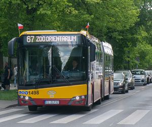 Najbardziej rozrywkowa linia autobusowa w Łodzi. Sprawdź, dokąd zabierze Cię 67!