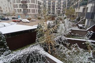 Pierwszy śnieg we Wrocławiu. Czy zima zaskoczyła kierowców? [ZDJĘCIA]