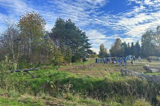 Serenity Park w Mysłowicach to nowa oaza zieleni na Śląsku. Gdzie za darmo znajdziesz ukojenie?