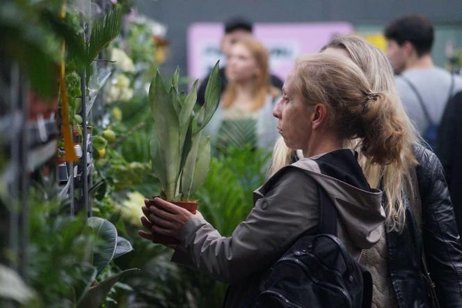 Bydgoski Festiwal Roślin 2023 w SISU Arenie [ZDJĘCIA]