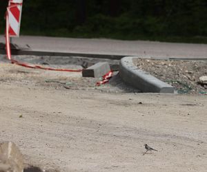 Trwa przebudowa odcinka drogi nr 928 między Mikołowem i Kobiórem