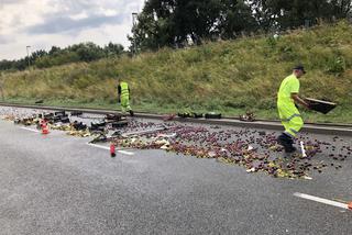 Warzywniak na Wale Miedzeszyńskim