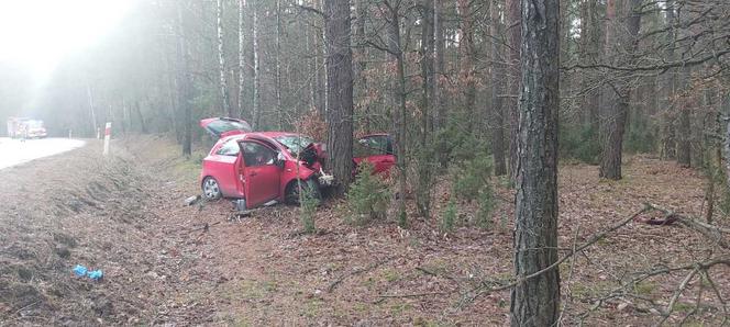 Pięć osób w zmiażdzonych autach! 42-latka i 14-latka ciężko ranne. Lądowały dwa śmigłowce LPR! [WIDEO, ZDJĘCIA]