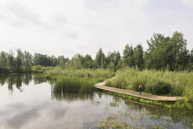 Enklawa przyrodnicza w Starym Sączu