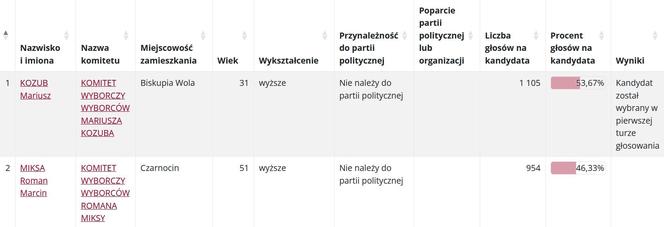 Wybory samorządowe 2024. Sprawdź, jak głosowano w gminach powiatu piotrkowskiego [GALERIA]