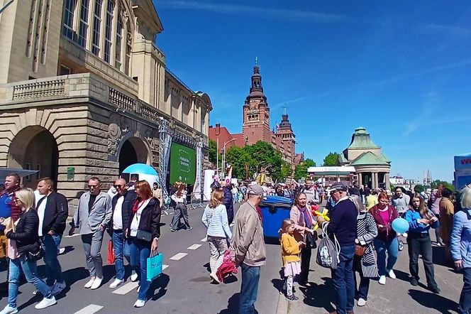 Piknik nad Odrą