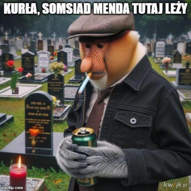 Wszystkich Świętych 2023. Zobaczcie najlepsze memy na 1 listopada! 