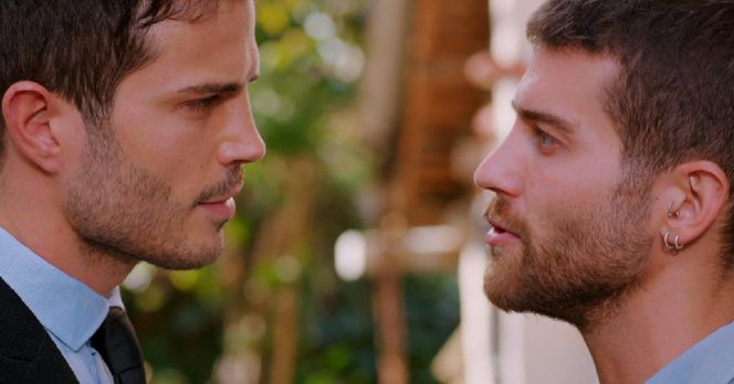 Miłość i nadzieja, odcinek 319. Ege, Cihan