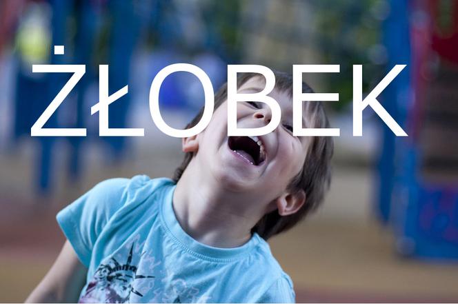 Żłobek