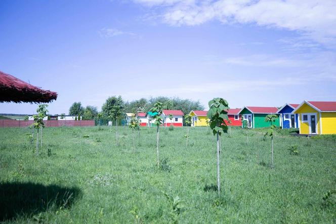 Bandyci zniszczyli jedyne takie miejsce dla zwierząt na świecie.