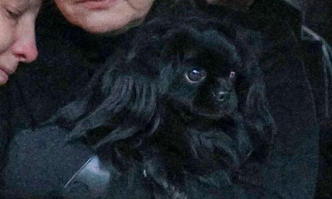 Ukochany pies Kamińskiego pożegnał go na pogrzebie