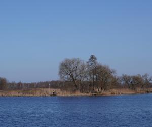 Powstaje park linowy w Białymstoku! To nowa inwestycja na plaży Dojlidy